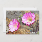 Cactus: Flat Card (Vorderseite)
