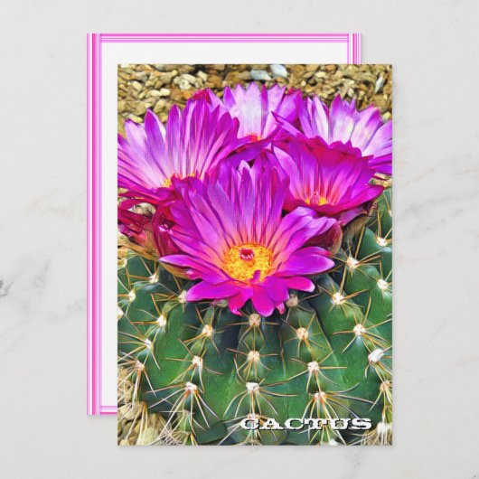 Cactus: Flat Card (Vorne/Hinten)