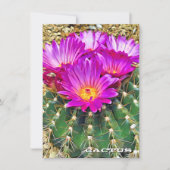 Cactus: Flat Card (Vorderseite)