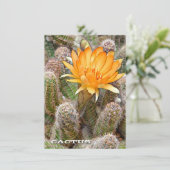 Cactus: Flat Card (Stehend Vorderseite)