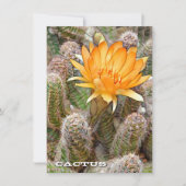 Cactus: Flat Card (Vorderseite)