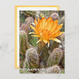 Cactus: Flat Card