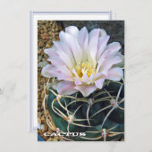 Cactus: Flat Card (Vorne/Hinten)