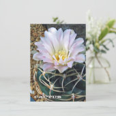 Cactus: Flat Card (Stehend Vorderseite)