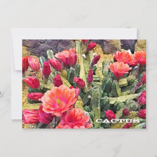 Cactus: Flat Card (Vorderseite)
