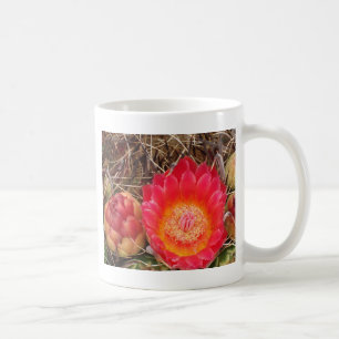 Cactus floral Foto Südwestwüste Blume Kaffeetasse