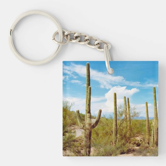 Cactus forest Square (doppelseitig) Schlüsselanhän Schlüsselanhänger (Vorderseite)