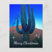 Cactus Foto Desert Südwest Weihnachten (Vorderseite)