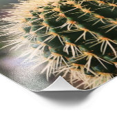 Cactus Foto Print (Ecke)