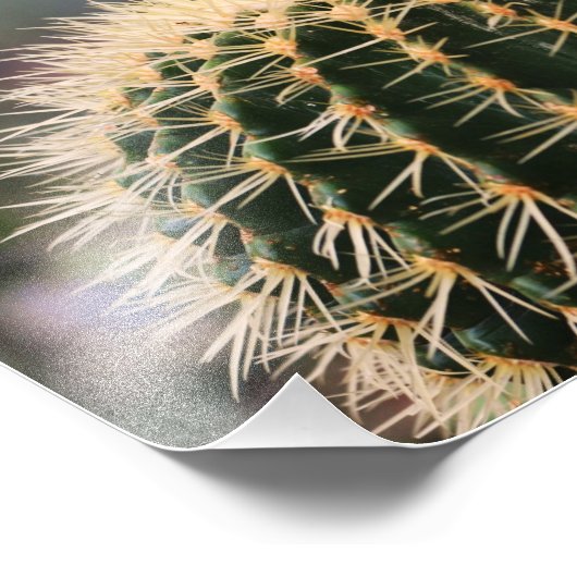 Cactus Foto Print (Ecke)