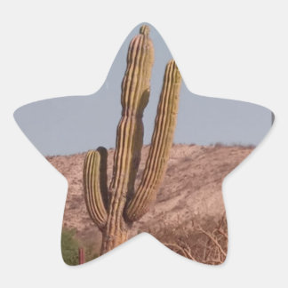 Cactus Fotografy Sticker