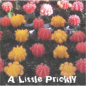 Cactus Fruit Aufkleber (Vorderseite)