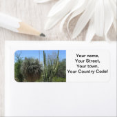 Cactus Garden (Insitu)