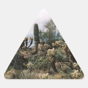 Cactus Garden Dreieckiger Aufkleber