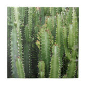 Cactus Garden Fliese (Vorderseite)