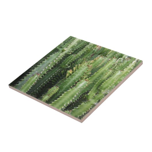 Cactus Garden Fliese (Seite)