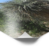 Cactus Garden Fotodruck (Ecke)