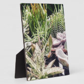 Cactus Garden Fotoplatte (Seite)