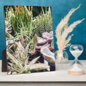 Cactus Garden Fotoplatte (Seite)