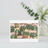 Cactus Garden Postcard Postkarte (Stehend Vorderseite)