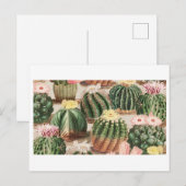 Cactus Garden Postcard Postkarte (Vorne/Hinten)