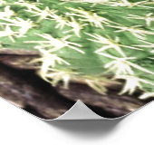Cactus Garden Poster (Ecke)