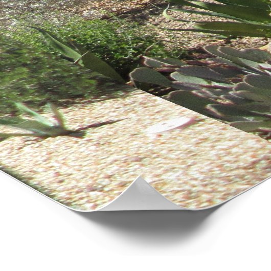 Cactus Garden Poster (Ecke)