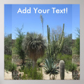 Cactus Garden Poster (Vorne)