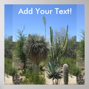 Cactus Garden Poster