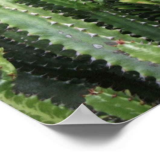 Cactus Garden Poster (Ecke)