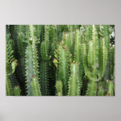 Cactus Garden Poster (Vorne)