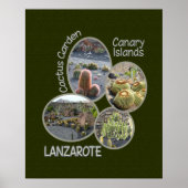 Cactus Garden poster (Vorne)