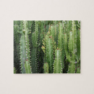 Cactus Garden Puzzle