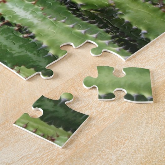 Cactus Garden Puzzle (Seite)