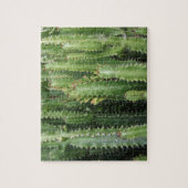 Cactus Garden Puzzle (Vertikal)
