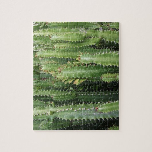 Cactus Garden Puzzle (Vertikal)