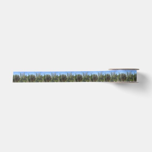 Cactus Garden Satinband (Vorderseite)