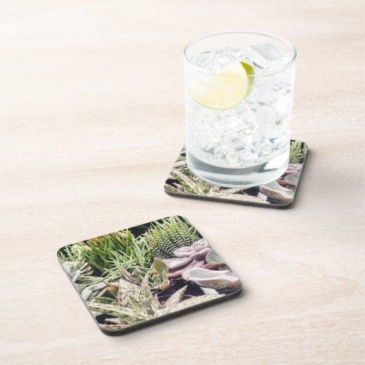 Cactus Garden Untersetzer (Rechte Seite)