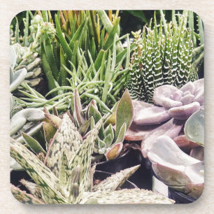 Cactus Garden Untersetzer