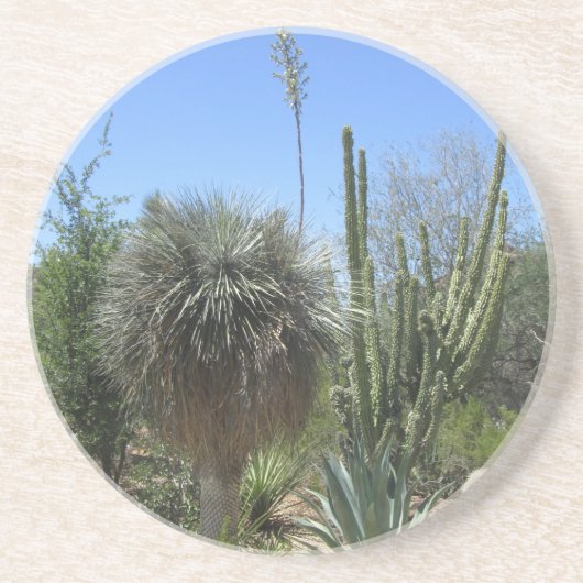 Cactus Garden Untersetzer (Vorne)