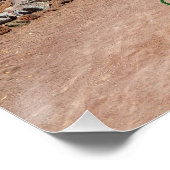 Cactus Garen, Fürteventura, Kanarische Inseln, Poster (Ecke)