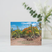 Cactus Garen, Fürteventura, Kanarische Inseln, Postkarte (Stehend Vorderseite)
