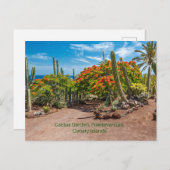 Cactus Garen, Fürteventura, Kanarische Inseln, Postkarte (Vorne/Hinten)