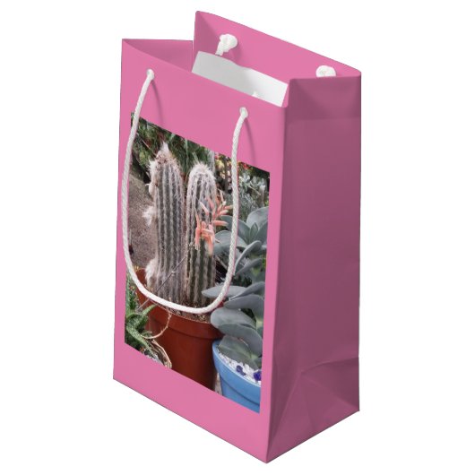 Cactus Gift Bag Kleine Geschenktüte (Rückseite Schrägansicht)