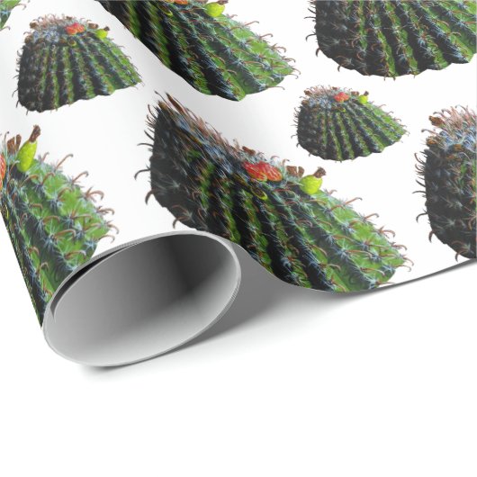 Cactus Gift Wrapping Paper Geschenkpapier (Rolleneckpunkt)