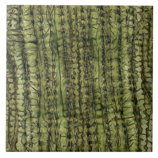 Cactus Green Kitchen Tile Fliese (Vorderseite)