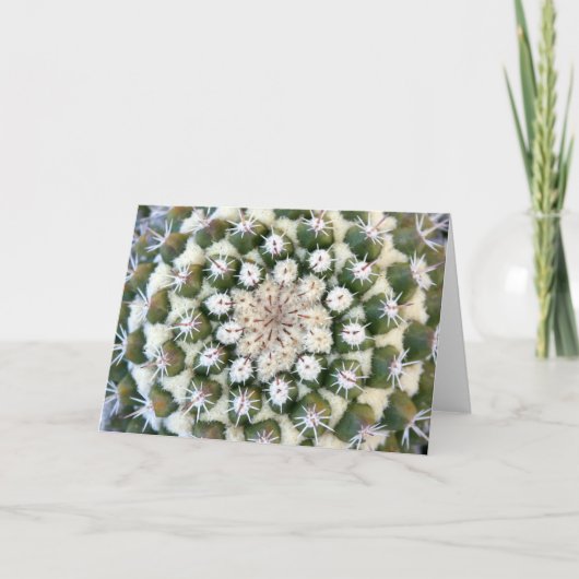 Cactus greeting card by Debra Lee Baldwin Karte (Vorderseite)