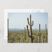 Cactus in Saguaro National Park , Arizona 2 Postkarte (Vorne/Hinten)