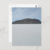 Cactus Island Postkarte (Vorne/Hinten)