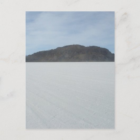 Cactus Island Postkarte (Vorderseite)